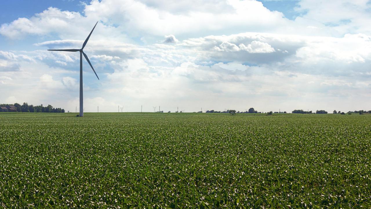 Green field with windmill in the background
