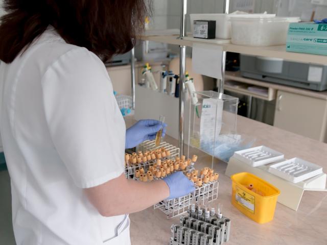 Lab techician conducting testing on a counter top