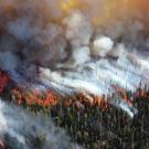 Aerial view of forest wildfire