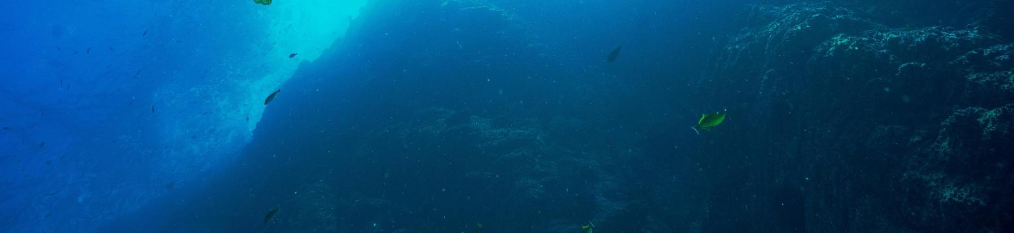 Scuba diver in the open water